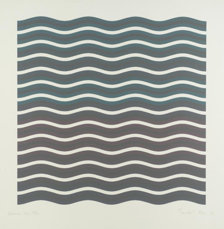 Coloured Greys III 1972 Bridget Riley born 1931 Presented by the Institute of Contemporary Prints 1975 http://www.tate.org.uk/art/work/P01579